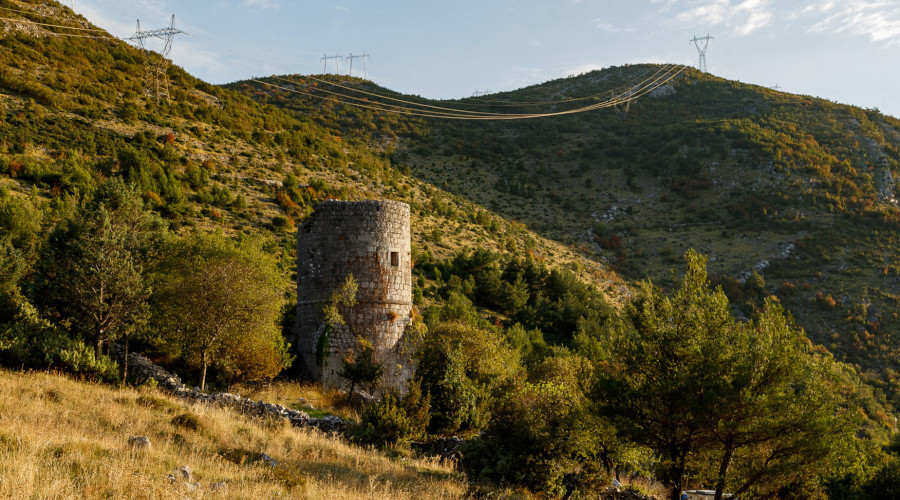 brankovića kula