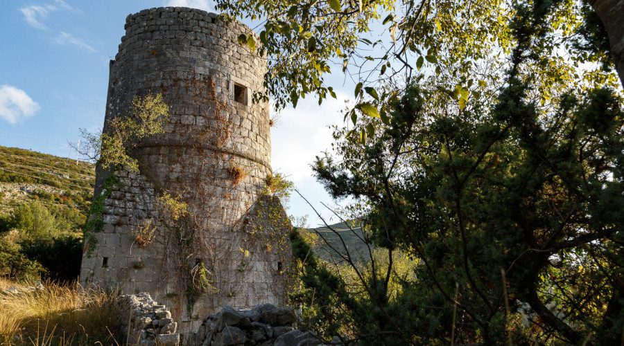 Brankovića kula – odjek prošlosti